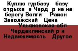 Куплю турбазу , базу отдыха  в Черд. р-не на берегу Волги. › Район ­ Заволжский › Цена ­ 3 000 000 - Ульяновская обл., Чердаклинский р-н Недвижимость » Другое   